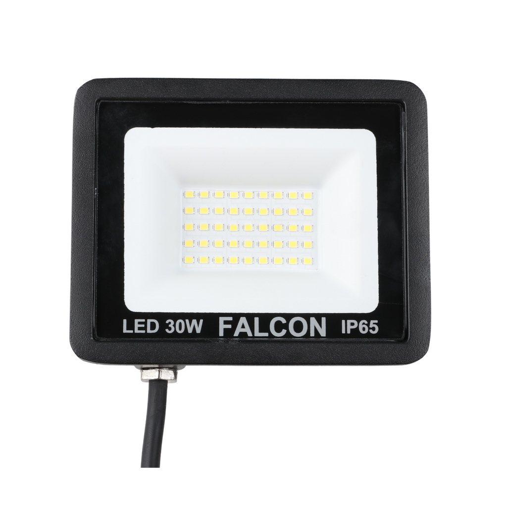 Falcon 30 Watt 3,100 Lumen LED Floodlight