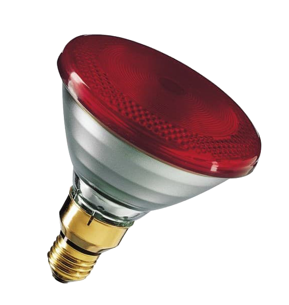 Tezla 175 watt Infra red Lamp Par 38