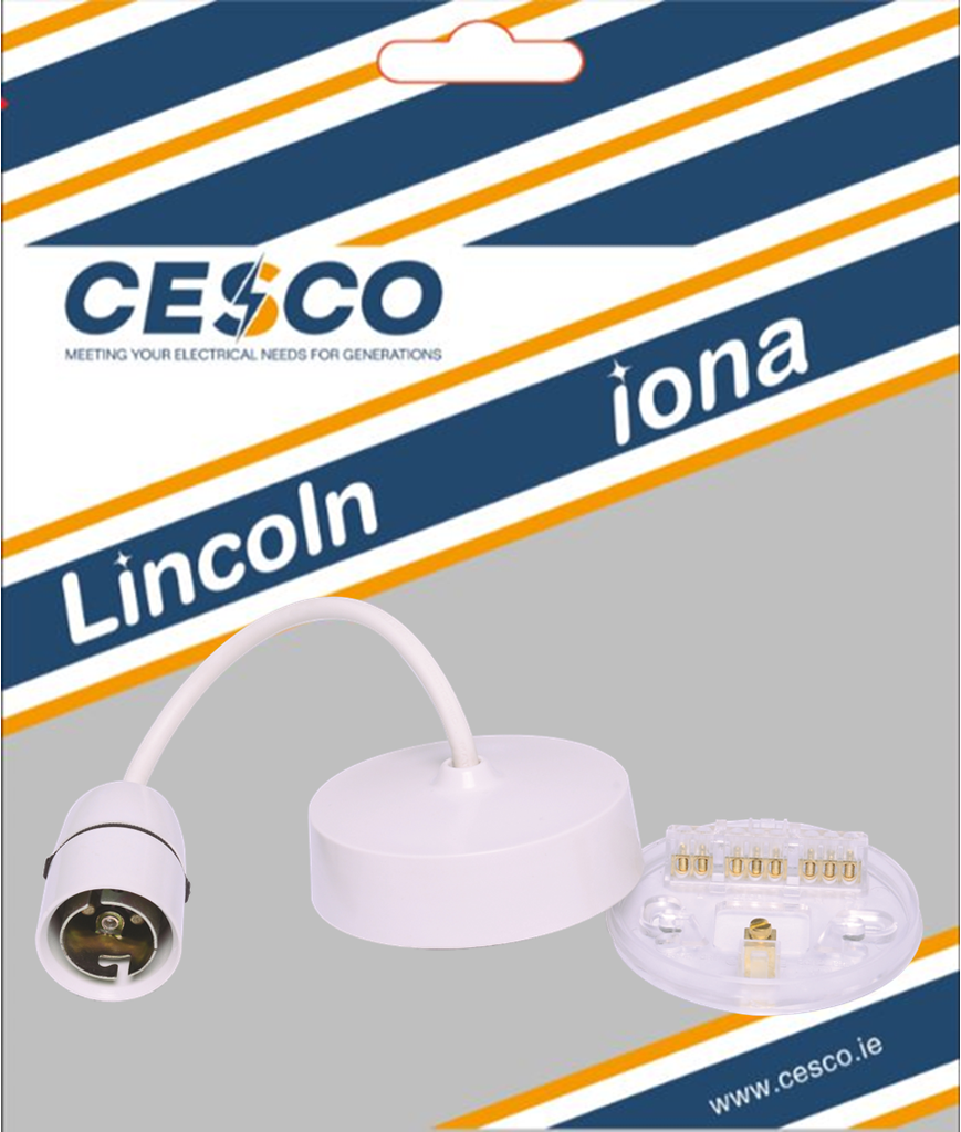 Lincoln 6 Inch Pendant Kit c/w Flex + T2 Lamp Holder Pre Packed