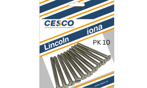M3.5 X 40mm Socket Screws ( 10 )